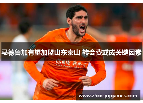 马德鲁加有望加盟山东泰山 转会费或成关键因素 马德鲁加有望加盟山东泰山 转会费或成关键因素