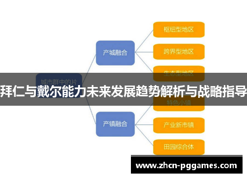 拜仁与戴尔能力未来发展趋势解析与战略指导