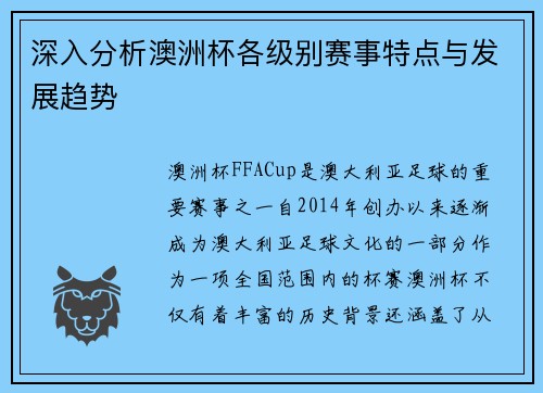 深入分析澳洲杯各级别赛事特点与发展趋势